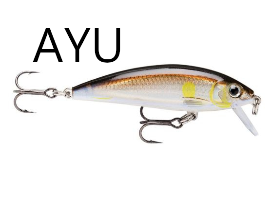 CREATOR: gd-jpeg v1.0 (using IJG JPEG v62), quality = 80